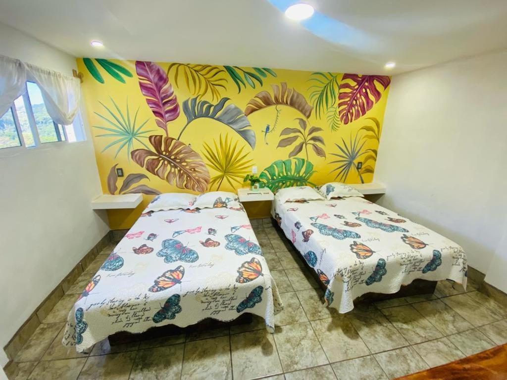 K&M Hotel Xilitla ภายนอก รูปภาพ